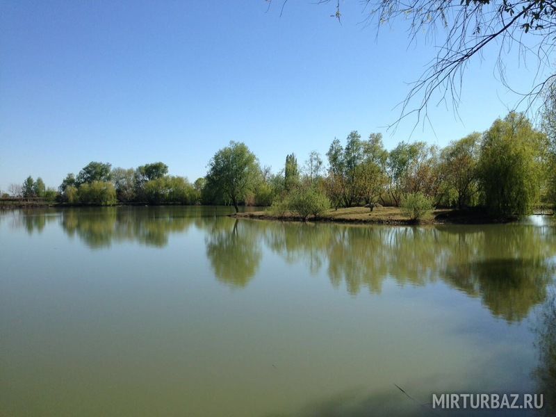 Озеры краснодарского края. Кипарисовое озеро сукко. Озеро в горах сочи кардывач. Абрау дюрсо озеро. Горное озеро абрау дюрсо.