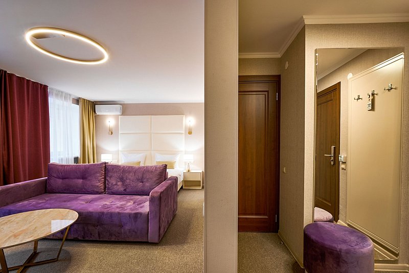 Делюкс 2-местный 1-комнатный (с видом на Detox-зал)