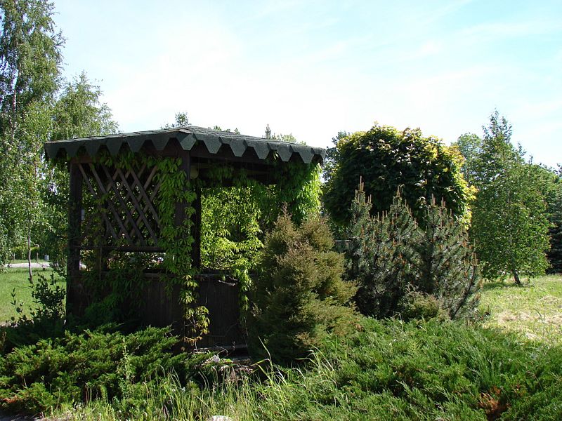 Любимая Дача, Калининградская область: фото 4