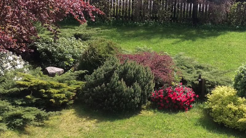 Любимая Дача, Калининградская область: фото 5