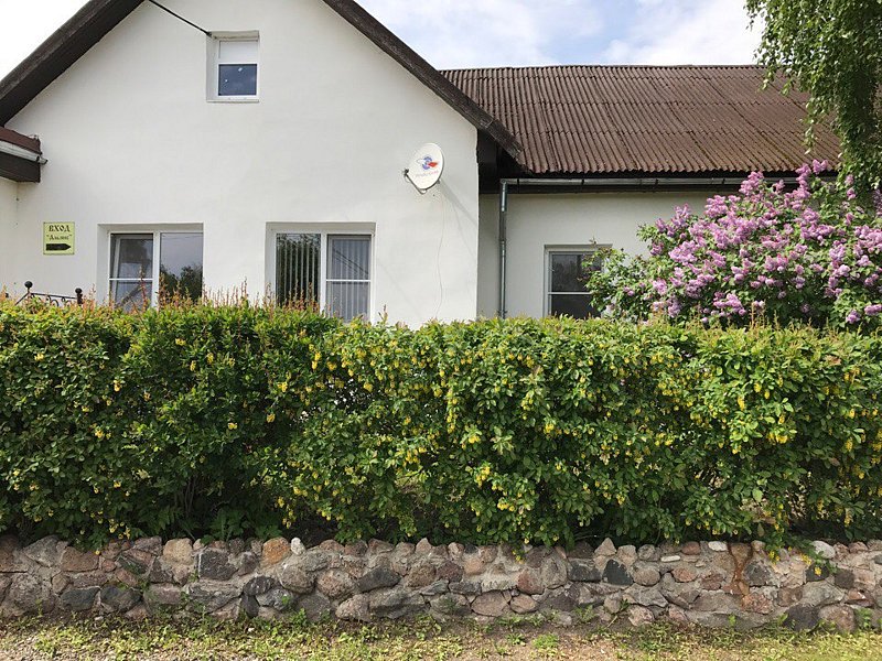 Гостевой дом Альянс, Новгородская область, Великий Новгород деревня Хутынь