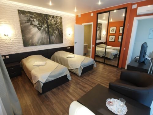 Стандарт 2-местный TWIN