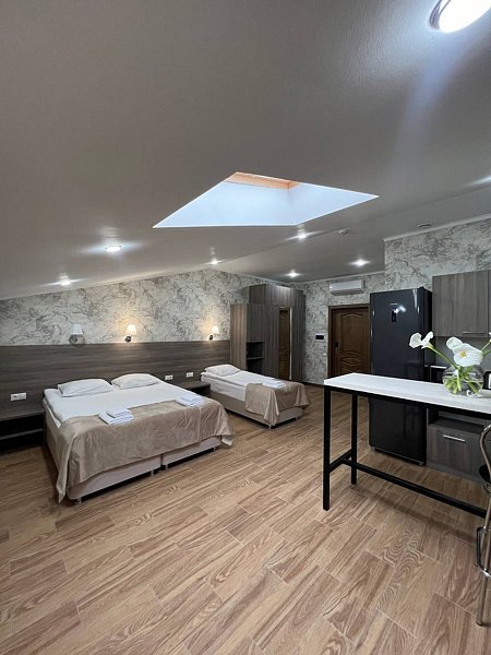 Апартаменты 3-местный (без балкона, мансарда)