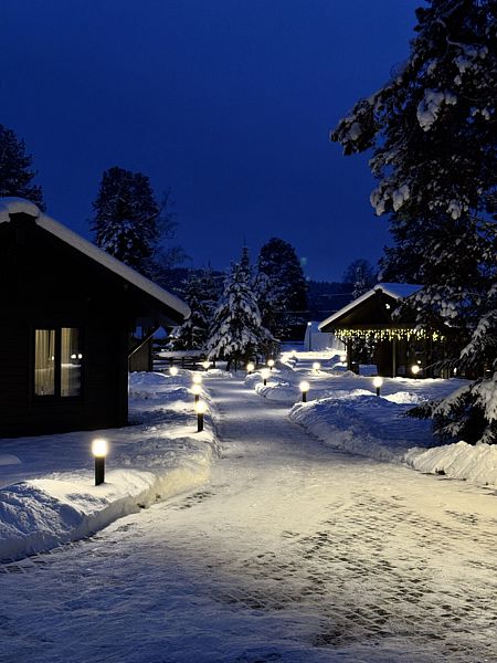 Чага Дом, Горный Алтай (Республика Алтай): фото 2