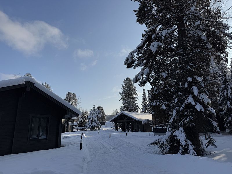 Чага Дом, Горный Алтай (Республика Алтай): фото 5