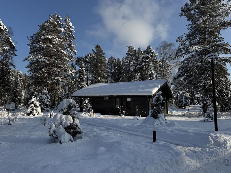 Чага Дом, Горный Алтай (Республика Алтай): фото 3