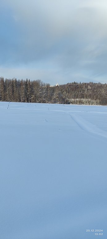 Фото из отзыва от 23.12.2024