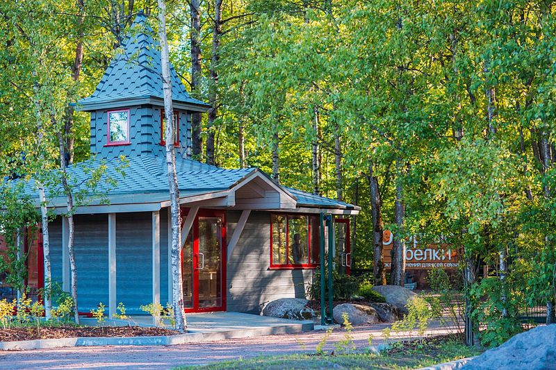 Озорные белки, Ленинградская область: фото 2