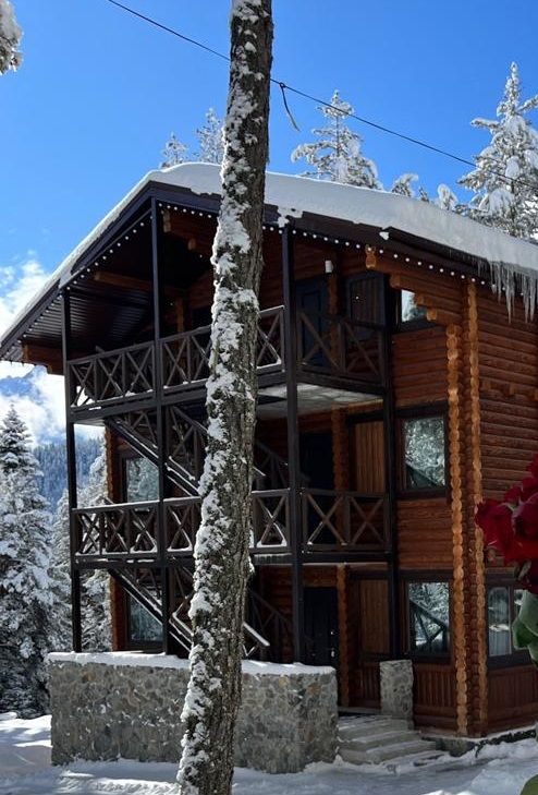 Шале 2-местный 1-комнатный (Twin)