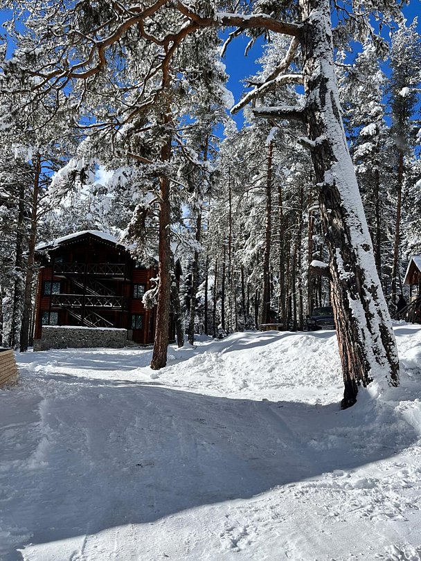 Шале 2-местный 1-комнатный (Twin)