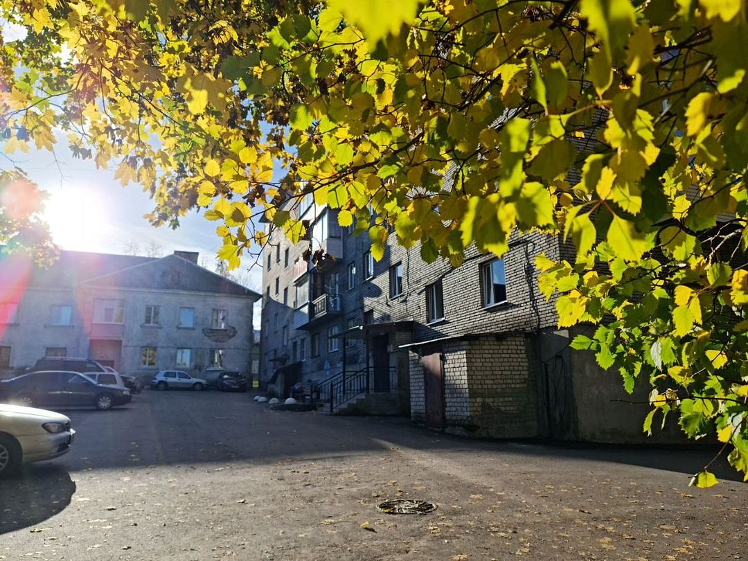 В гостях у бабы Поли, Республика Карелия: фото 3