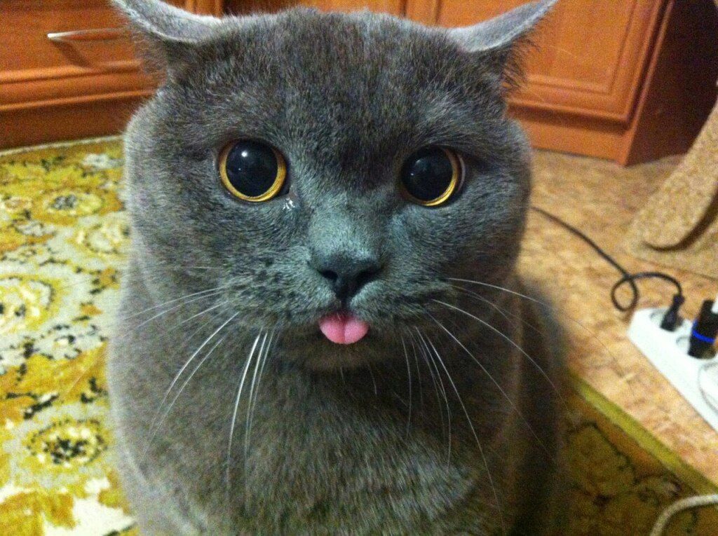 Тест отель (НЕ ЯВЛЯЕТСЯ ОТЕЛЕМ - НЕ ДЛЯ БРОНИРОВАНИЯ) 🎅, Иркутская область: фото 2