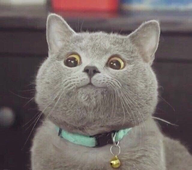 Тест отель (НЕ ЯВЛЯЕТСЯ ОТЕЛЕМ - НЕ ДЛЯ БРОНИРОВАНИЯ) 🎅, Иркутская область: фото 5