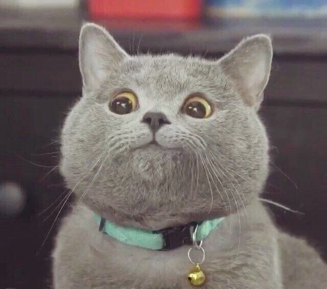 Тест отель (НЕ ЯВЛЯЕТСЯ ОТЕЛЕМ - НЕ ДЛЯ БРОНИРОВАНИЯ) 🎅, Иркутская область: фото 5