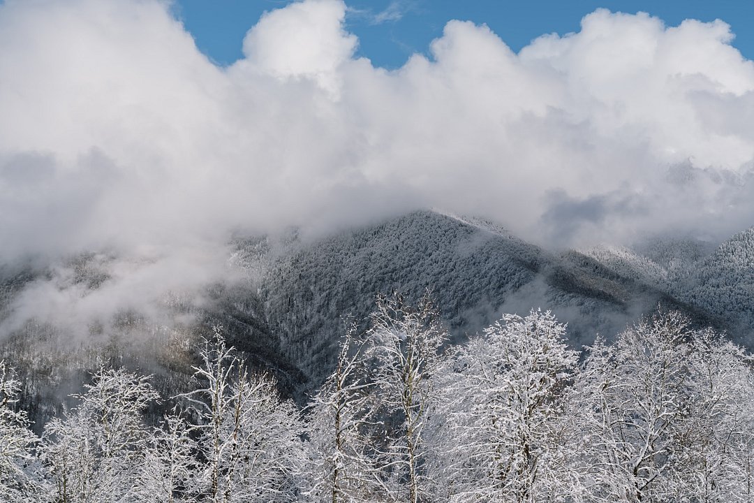Эконом 1-местный 1-комнатный (в блоке)