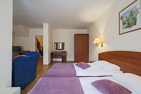 Люкс 2-местный Семейный с видом на лес, Парк-отель Тропикана, Солнечногорский район