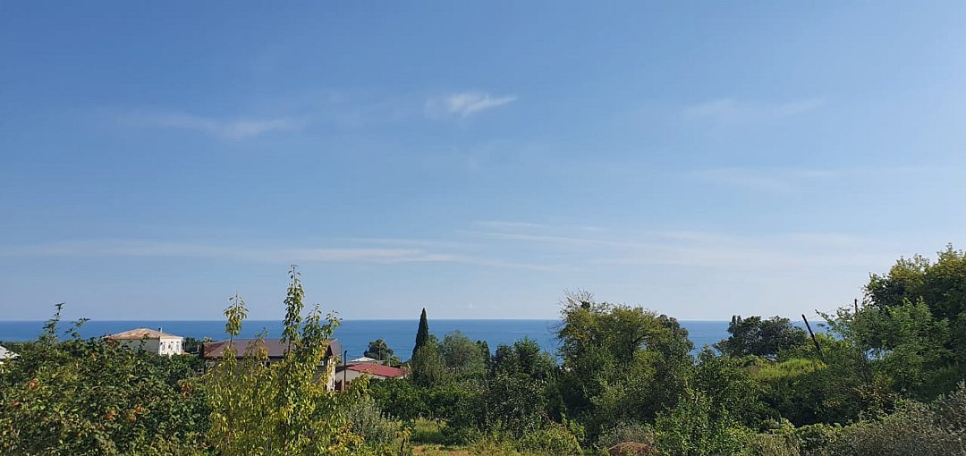 База отдыха Бамбукинг, Гудаутский район, Новый Афон Гудаута, Абхазия