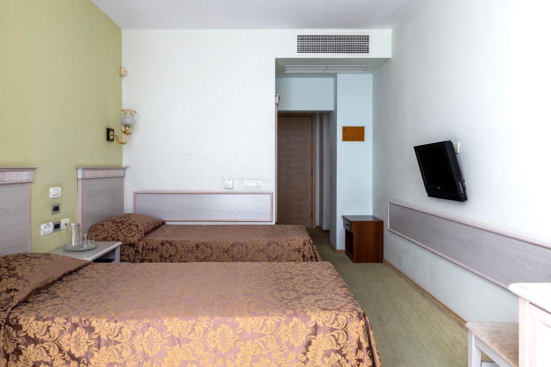 Стандартный 2-местный 1-комнатный (TWIN)