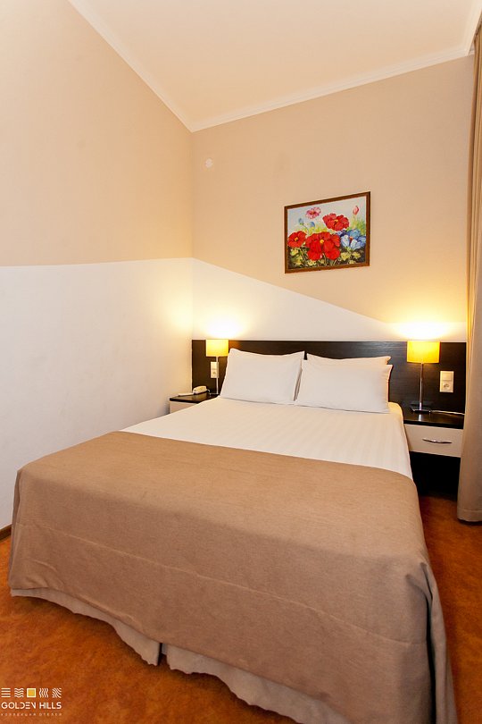 Standard mini 2-местный 1-комнатный DBL