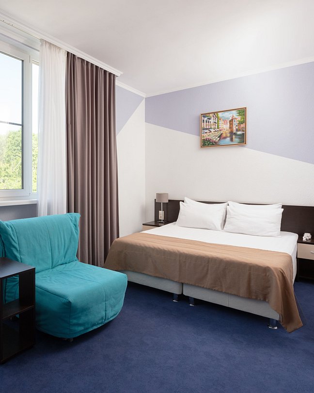 Standart (Отель 3*) 2-местный 1-комнатный без балкона, вид на дорогу, лес, двуспальная кровать