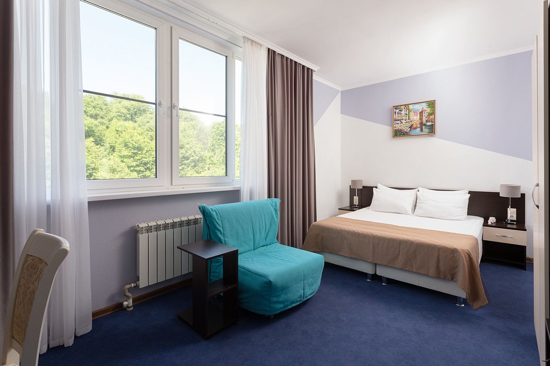 Standart (Отель 3*) 2-местный 1-комнатный без балкона, вид на дорогу, лес, двуспальная кровать