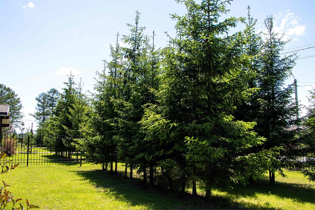 Дом 8-местный 5-комнатный (Барский)