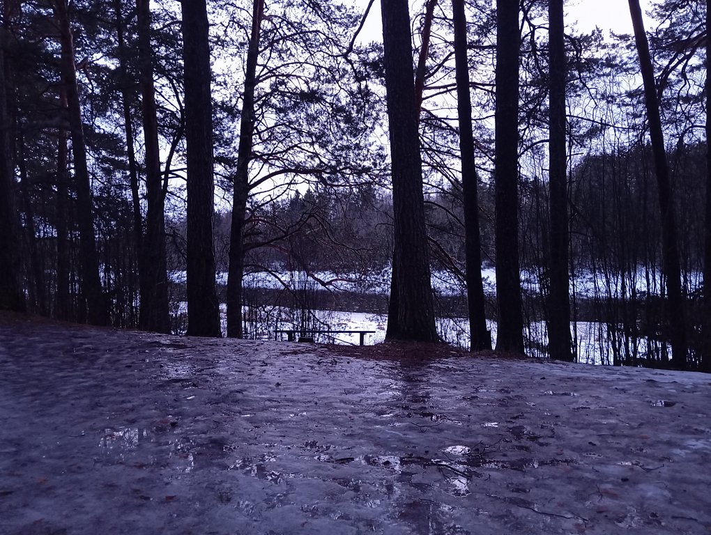 Фото из отзыва от 04.01.2025