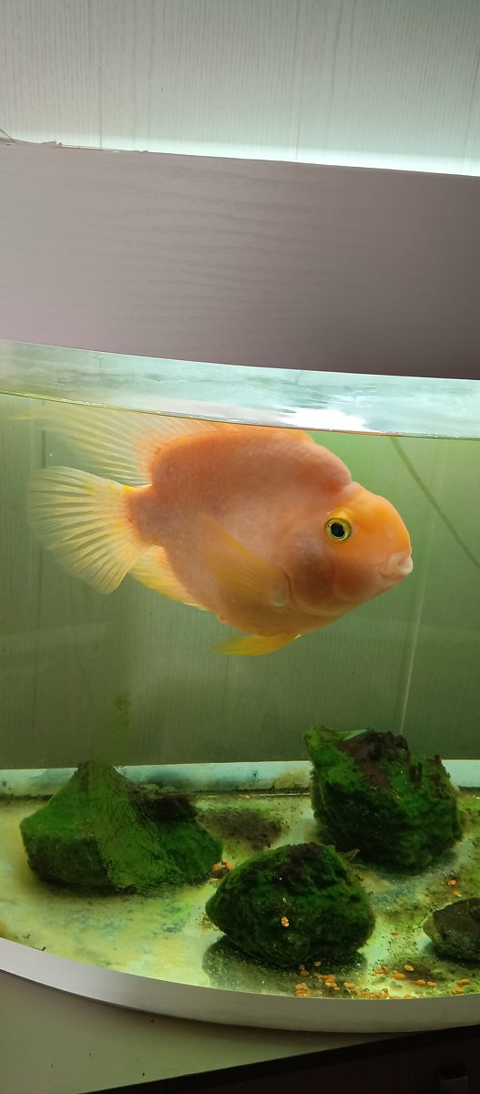 Фото 3 из отзыва о санатории Голубые ели