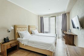 Стандартный 2-местный 1-комнатный с балконом корпус 2, Пансионат Amza Park Hotel, Гагра