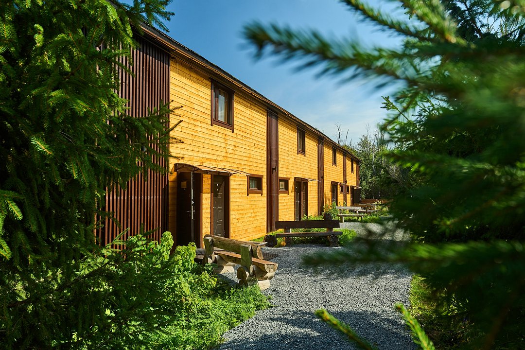 Марциальные ключи. Утуки, Республика Карелия: фото 2