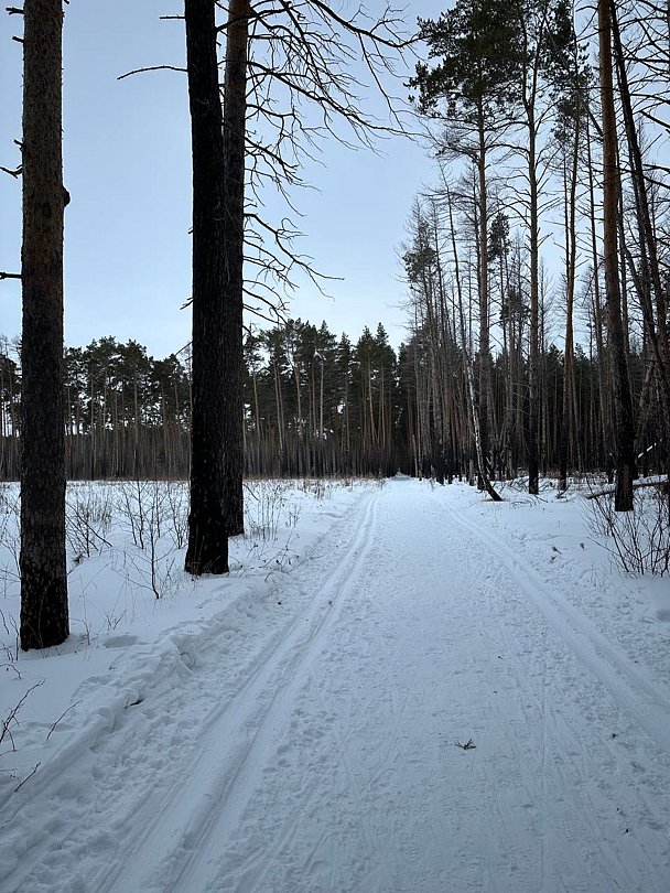Фото 1 из отзыва о санатории им. Карбышева