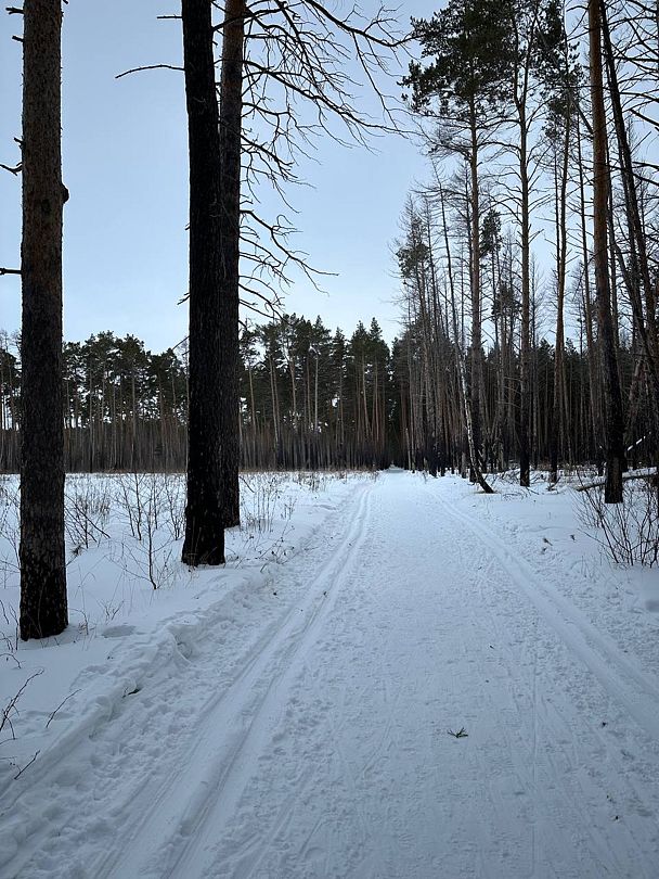 Фото 1 из отзыва о санатории им. Карбышева