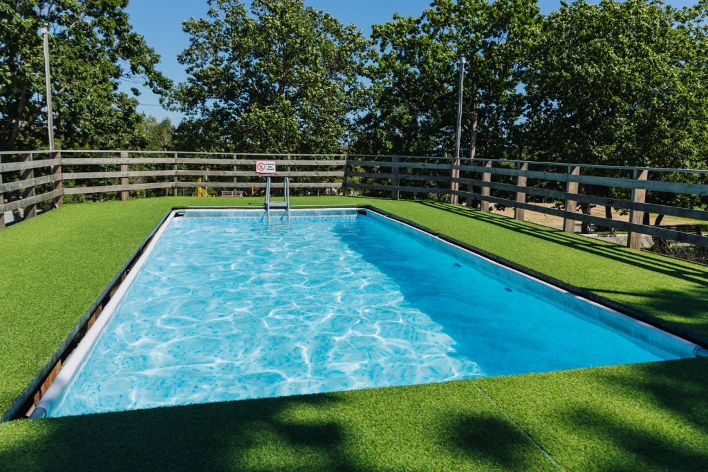 Мечта (Ливадия, Приморский край: фото 4