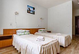 2-мест. станд. TWIN, корп. 5, Санаторий Русский лес, Березники