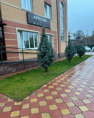 Априори, Самарская область: фото 2