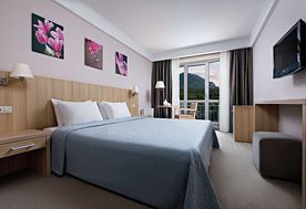 2-мест. стандарт (вид на Бештау), Санаторий Плаза SPA, Железноводск