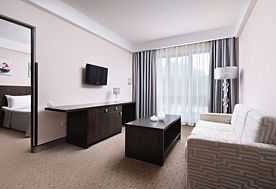 1-мест. (разм. в 2-мест.) 2-комн. люкс (вид на Бештау), Санаторий Плаза SPA, Железноводск