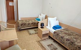 Место в 2-местн. номере 1 кат., Санаторий Борисовский, Борисово
