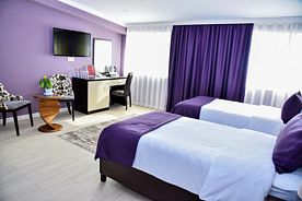 Standard 1-местный, Отель Supreme Hotel Baku, Баку