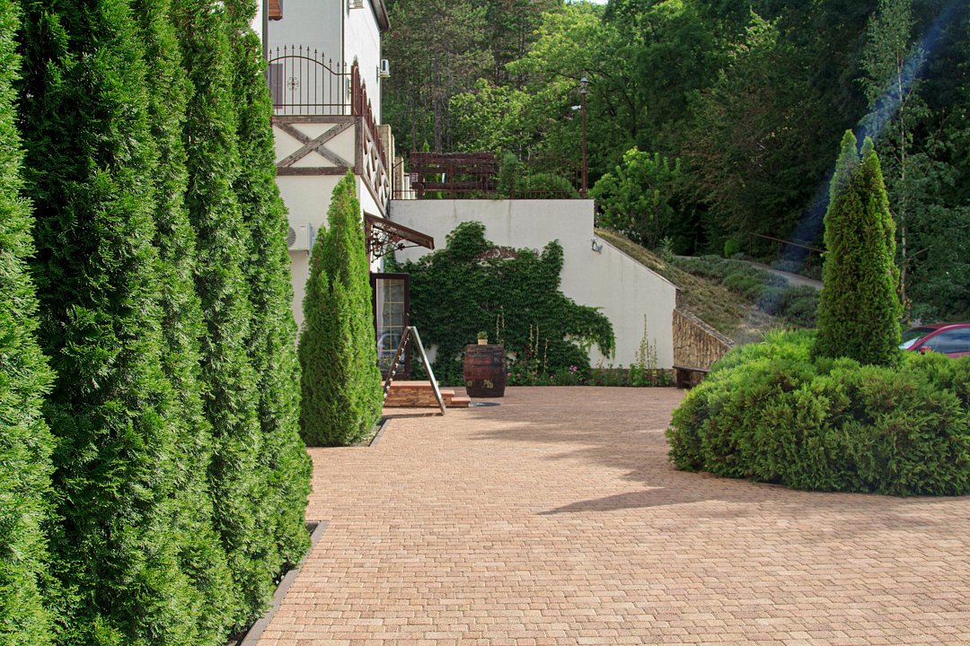 Винтаж, Краснодарский край: фото 3