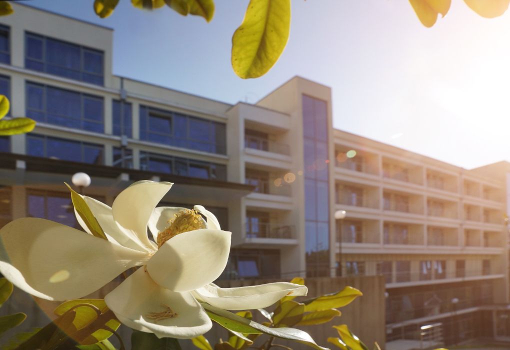 Санаторий Радуга , Сочи, Краснодарский край