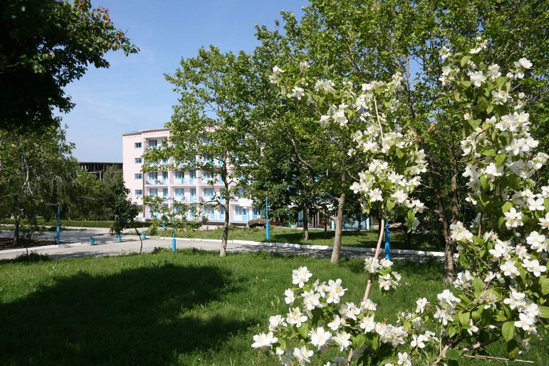 Ателика Тешебс, Краснодарский край: фото 3