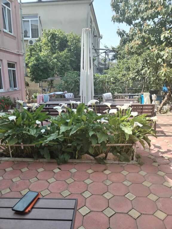 Гостевой дом Зеленый дворик, Гагрский район, Гагра , Абхазия