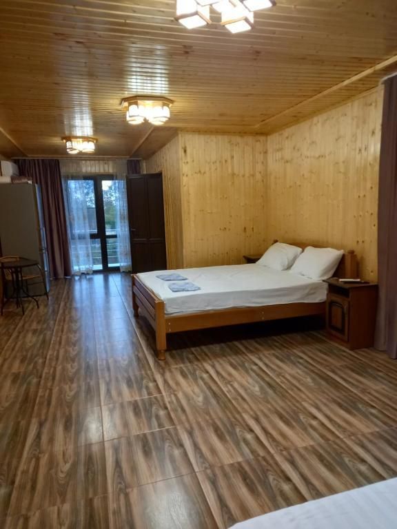 Отель Парк Отель Галина, Гагрский район: фото 3