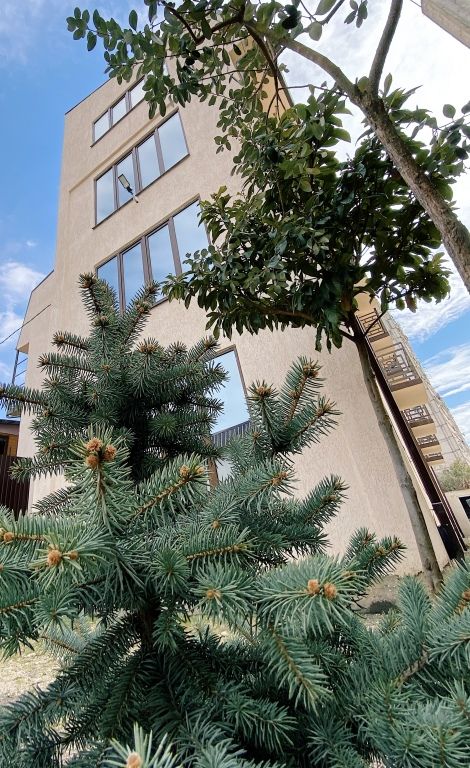 Мини-Отель A-more Gagra, Гагрский район: фото 2