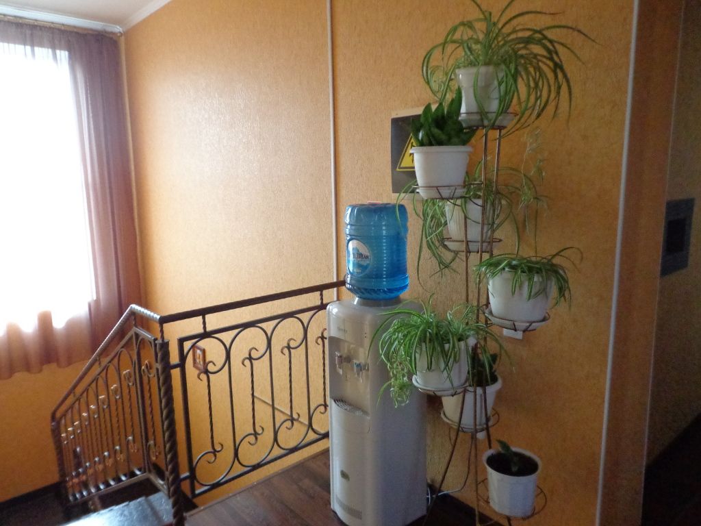 Олимпия, Краснодарский край: фото 3