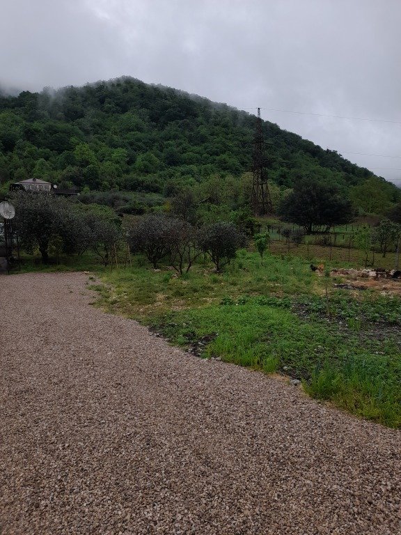 Гостевой дом У Рузаны, Гагрский район, Гагра , Абхазия