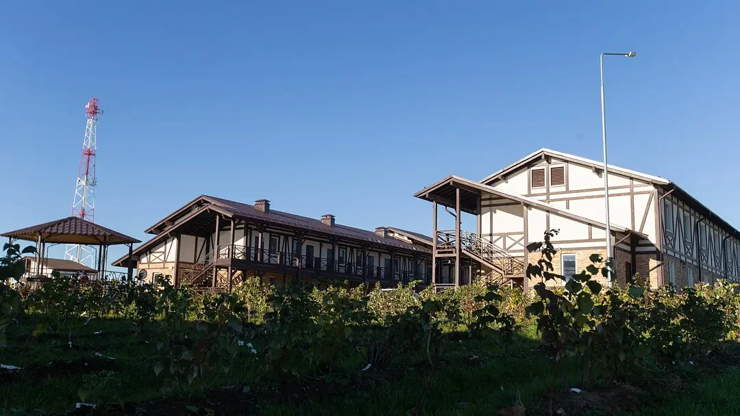 Maxima Park, Московская область: фото 4