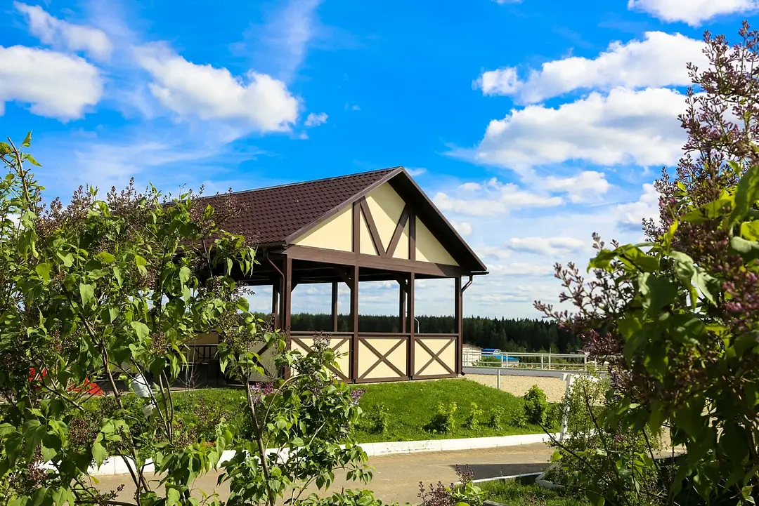 Maxima Park, Московская область: фото 5