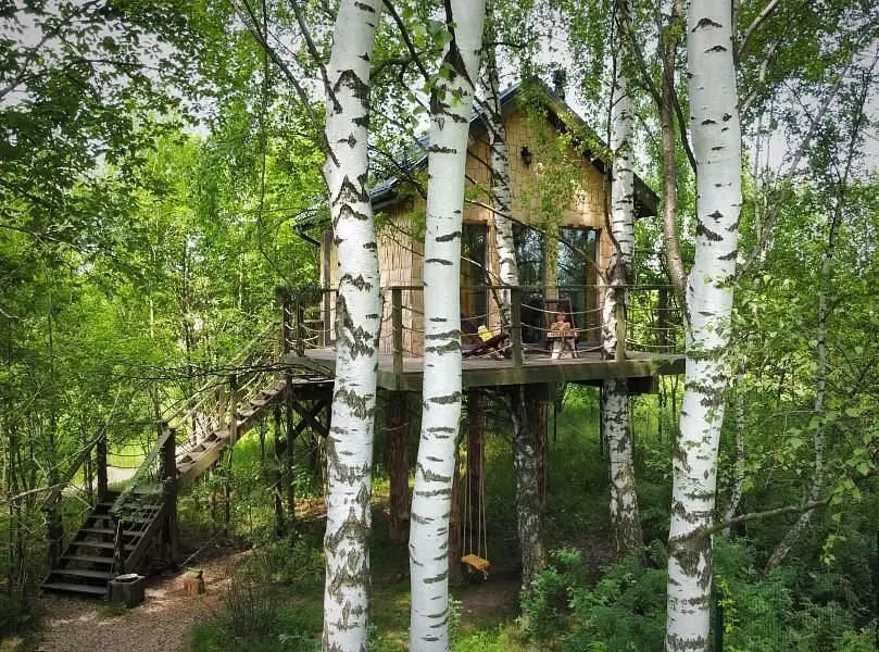 Лапочкино гнездо, Тульская область: фото 3
